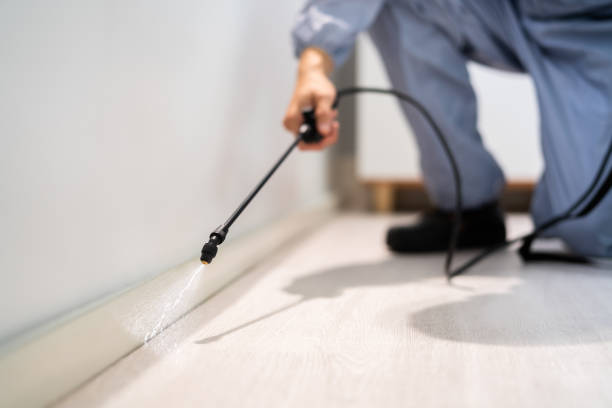 Licensed Pest Control service in Bristol, VA - Show Me Pest Control